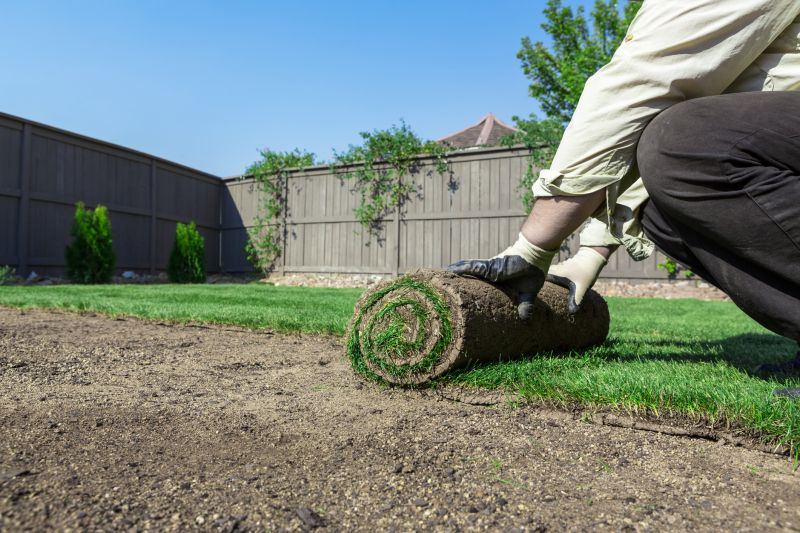 Fescue Sod Installation in Honolulu, HI
