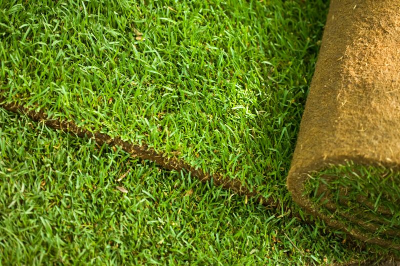 Commercial Sod Installation in Aiken, SC