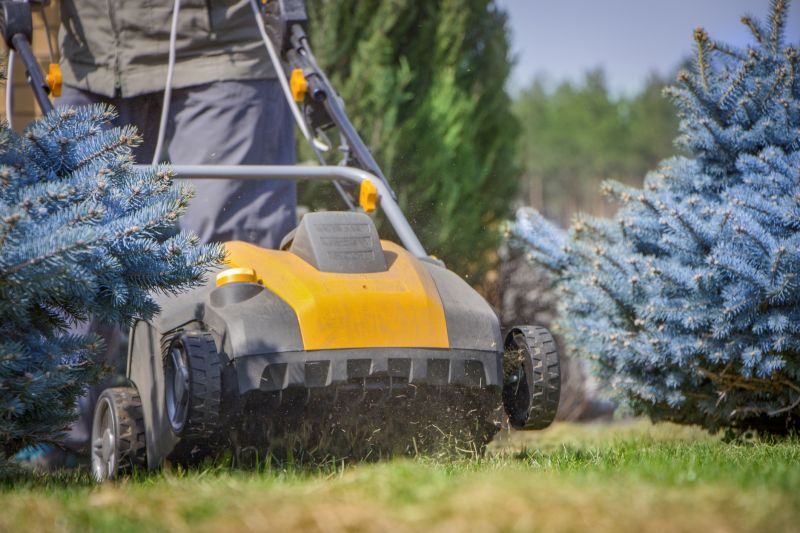 Yard Aerating detail