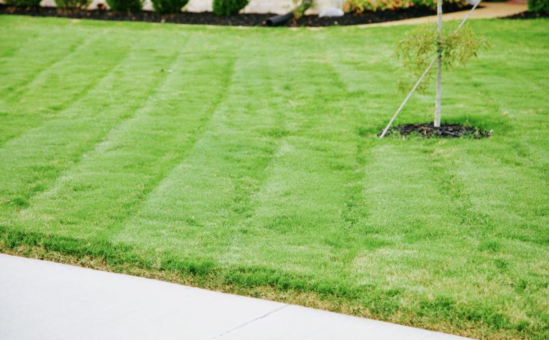 Grass Installation in Aiken, SC
