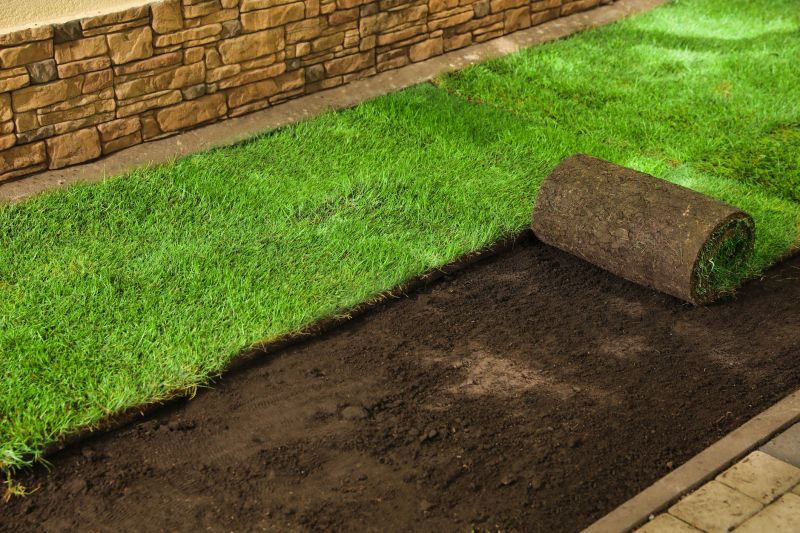 Grass Replacement in Rockwall, TX