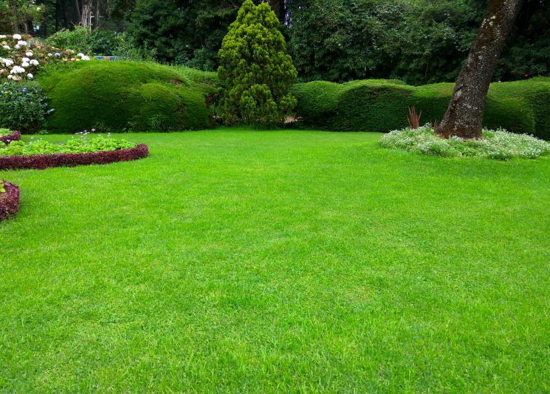 Lawn Replacement in Ventura County, CA