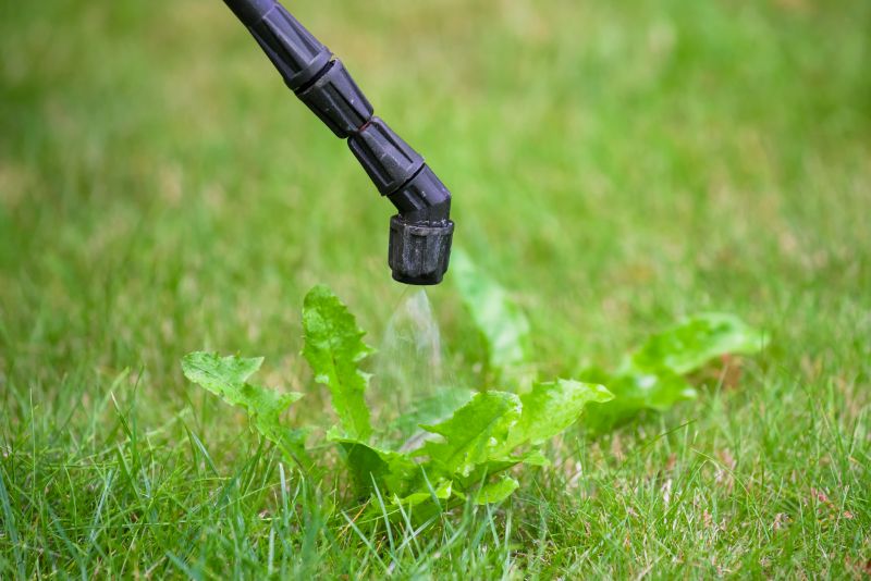 Lawn Weed Treatment in Honolulu, HI