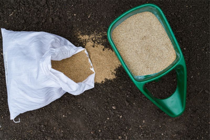 New Construction Lawn Seeding in Honolulu, HI