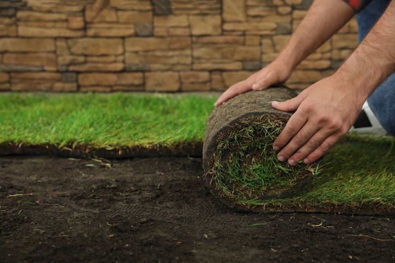 Ryegrass Sod Installation in Aiken, SC