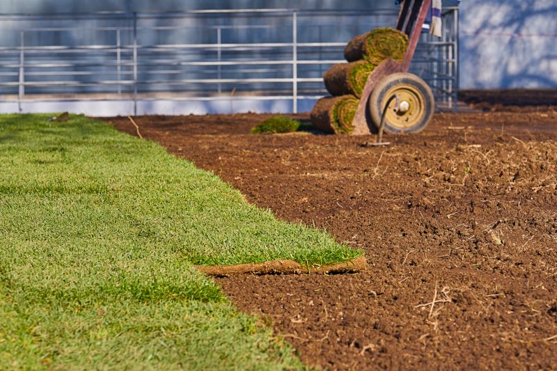 Ryegrass Sod Installation in Aiken, SC