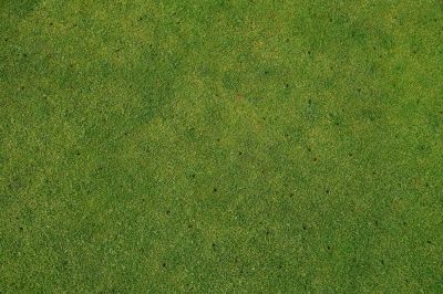 Improve Your Landscaping!